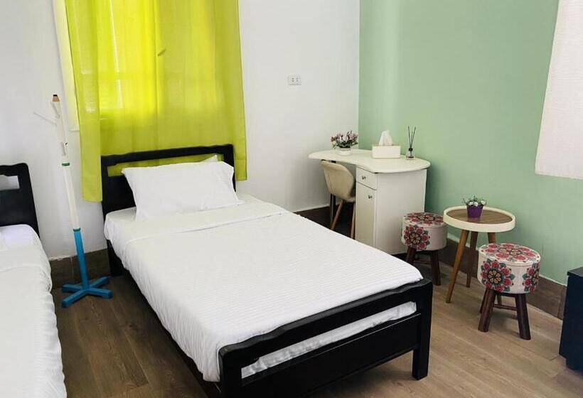 تختخواب در اتاق مشترک, City Hostel Dormitory