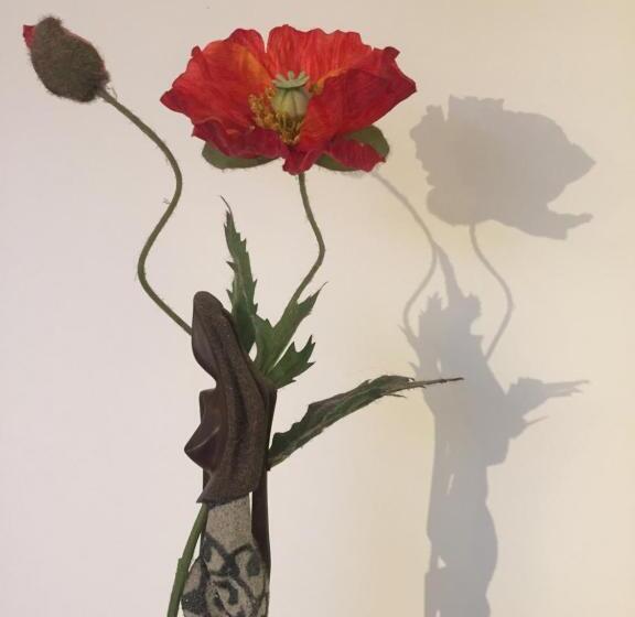 スタンダードルーム, Le Chat Blanc