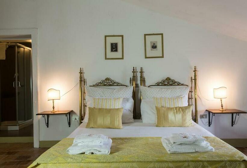 غرفة قياسية مطلّة علي الحديقة, Castello Di Serragiumenta