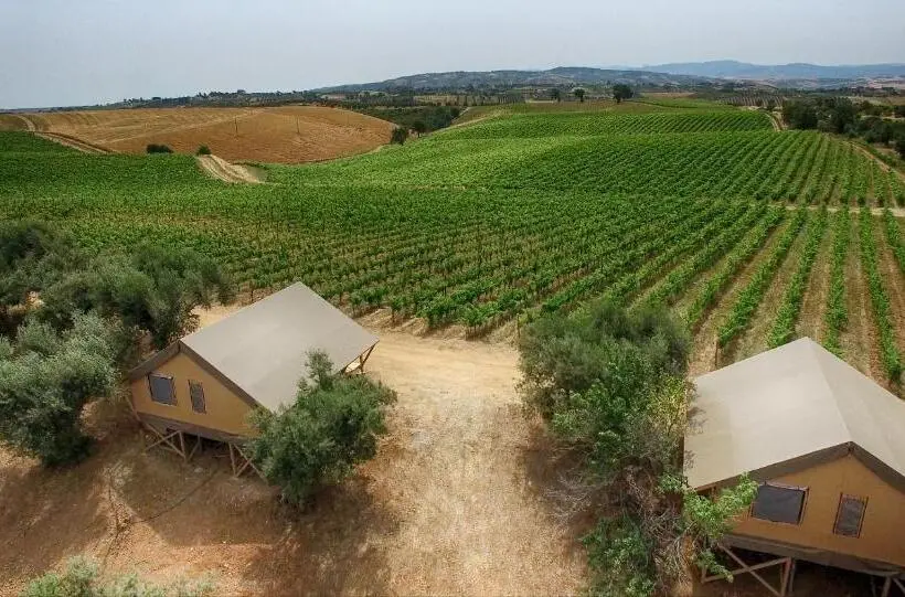 Standard Tent, Castello Di Serragiumenta