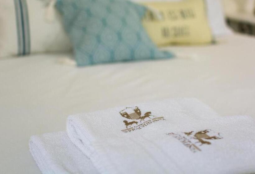 شقة غرفة واحدة, Castello Di Serragiumenta