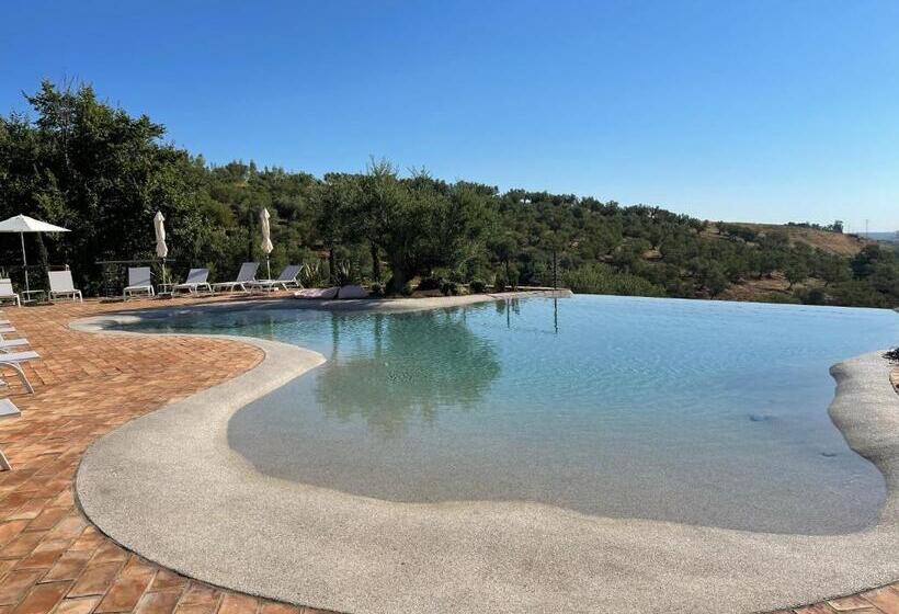 غرفة قياسية, Castello Di Serragiumenta