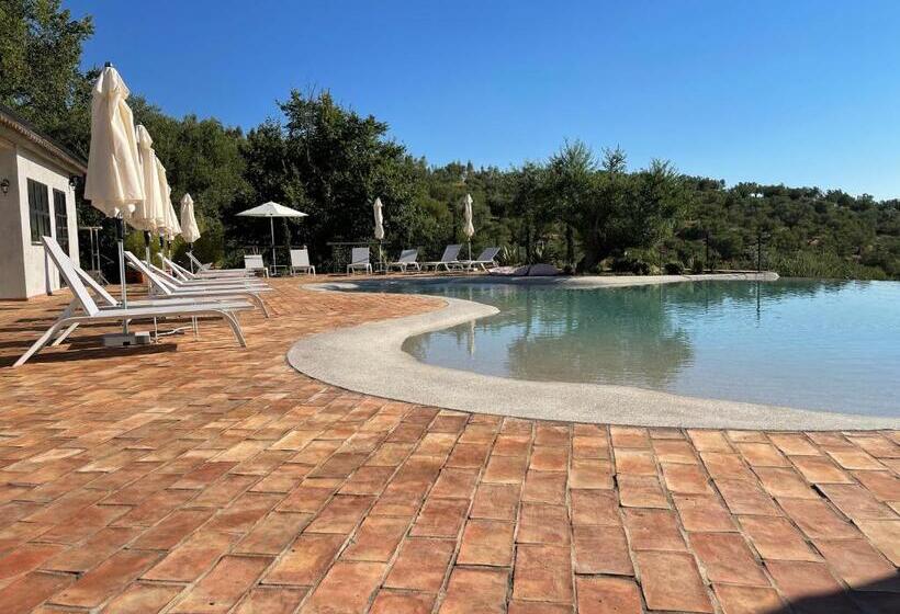 غرفة قياسية, Castello Di Serragiumenta