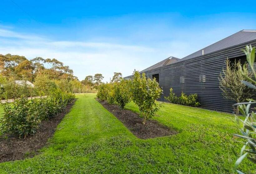 디럭스 스위트 킹 침대, Campania Spa Suite 1