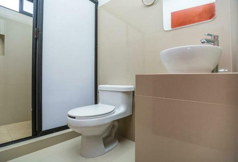 חדר סופריור, Pejelagarto