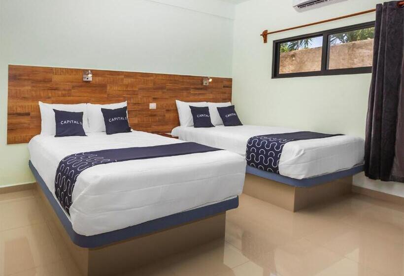 חדר סטנדרט, Pejelagarto