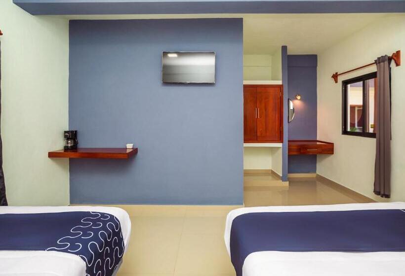 חדר סטנדרט, Pejelagarto