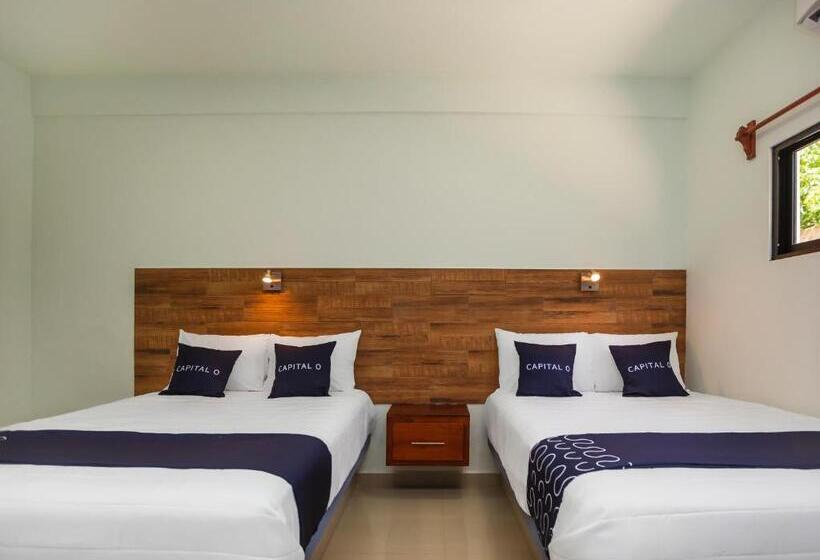 חדר סטנדרט, Pejelagarto