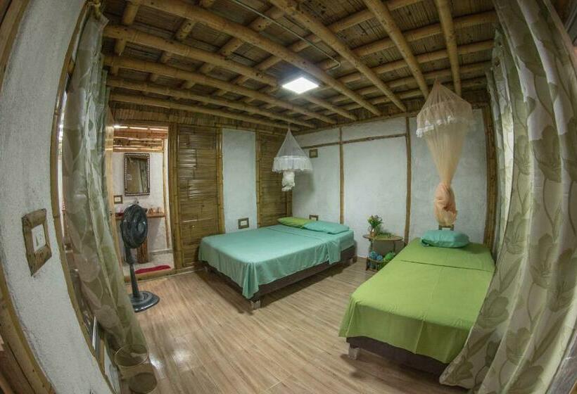 اتاق استاندارد سه نفره, Tatacoa Star Eco