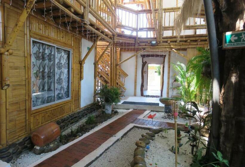 اتاق استاندارد سه نفره, Tatacoa Star Eco