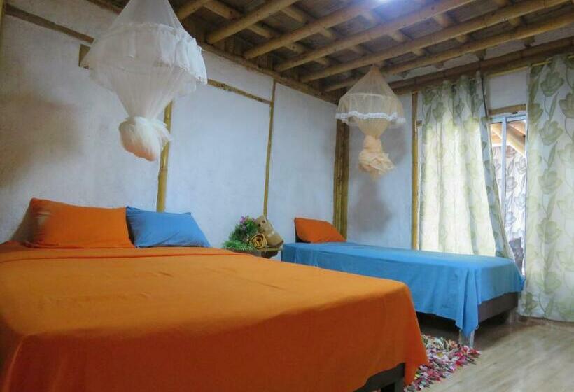 اتاق استاندارد سه نفره, Tatacoa Star Eco