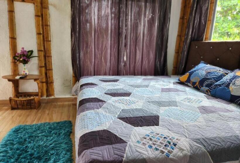 اتاق استاندارد, Tatacoa Star Eco