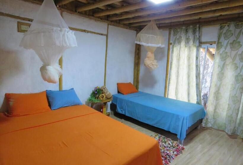 اتاق استاندارد سه نفره, Tatacoa Star Eco