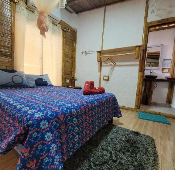 اتاق استاندارد سه نفره, Tatacoa Star Eco