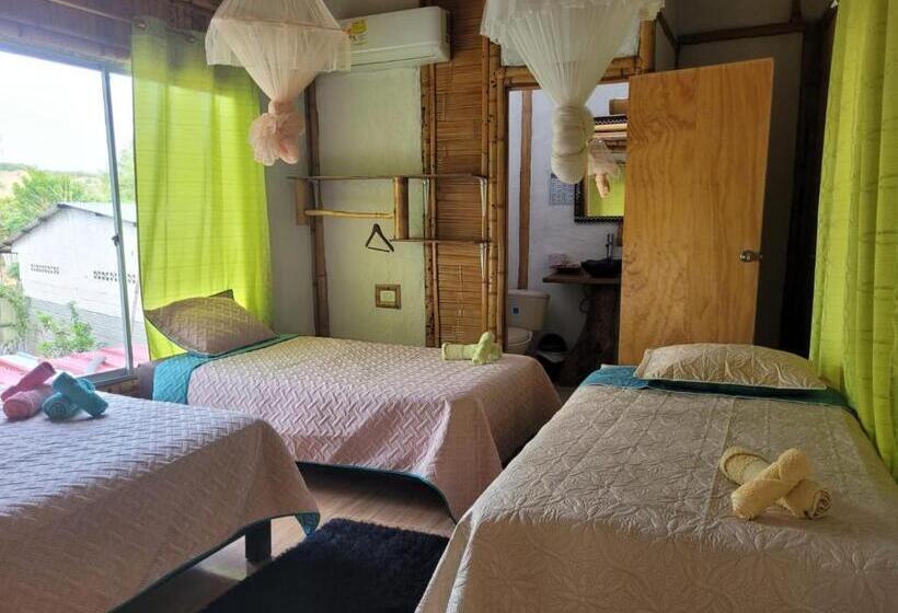 اتاق خانوادگی, Tatacoa Star Eco