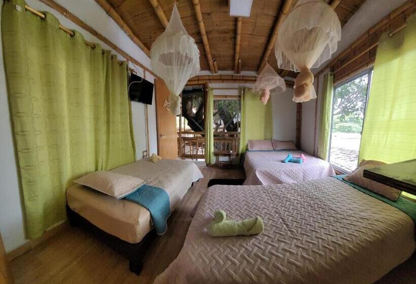 اتاق خانوادگی, Tatacoa Star Eco