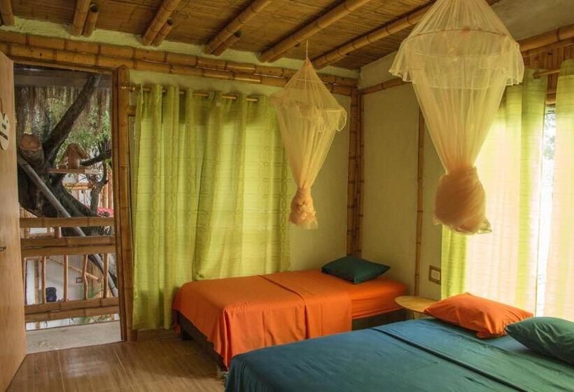 اتاق خانوادگی, Tatacoa Star Eco