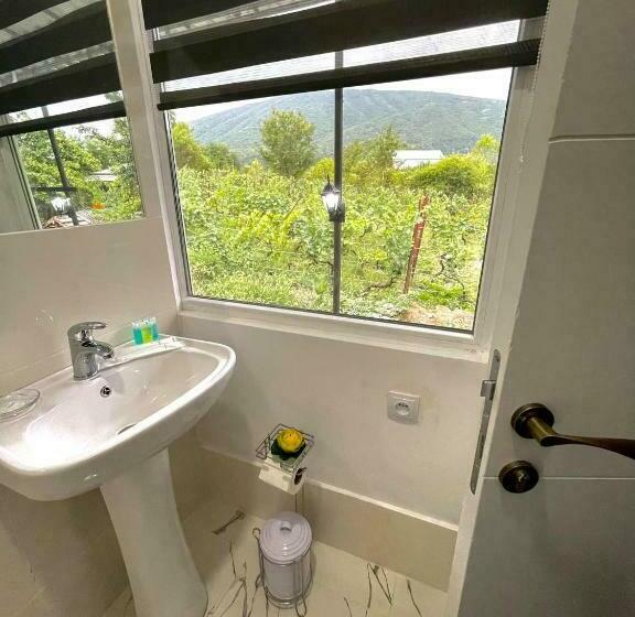 اتاق لوکس, View Racha