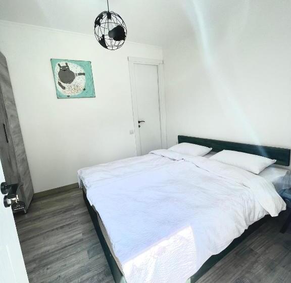 اتاق لوکس, View Racha