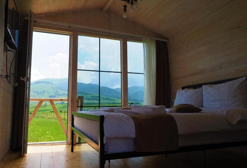 标准间带露台, V&v