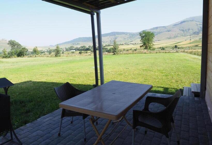 标准间带露台, V&v