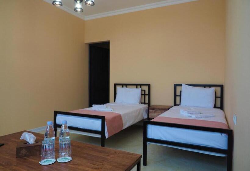 带2个卧室的公寓, V&v