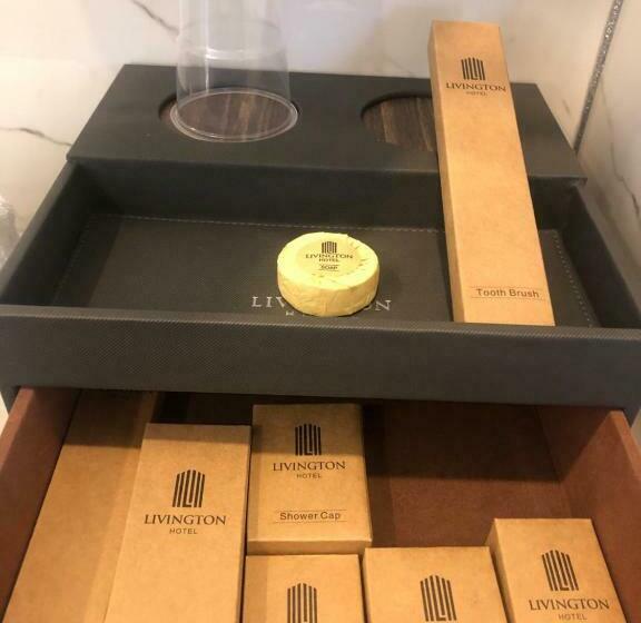 스탠다드 싱글 룸, Livington
