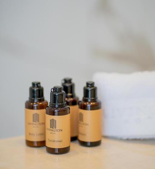 이코노미 싱글 룸, Livington