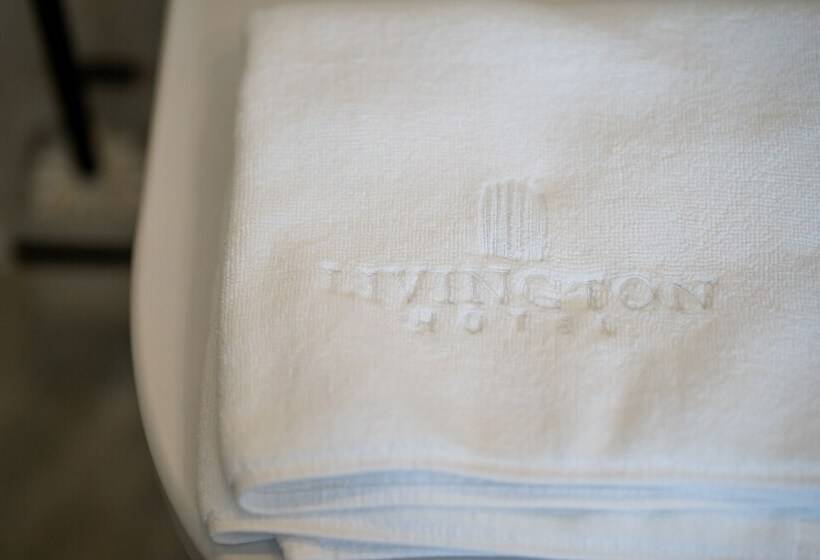 디럭스 룸, Livington