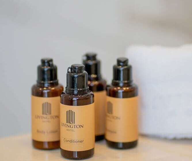 스탠다드 싱글 룸, Livington