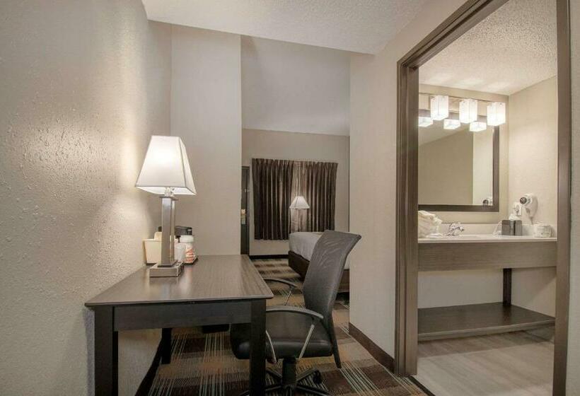 스탠다드 룸 킹사이즈 침대, Quality Inn Roseville Detroit North