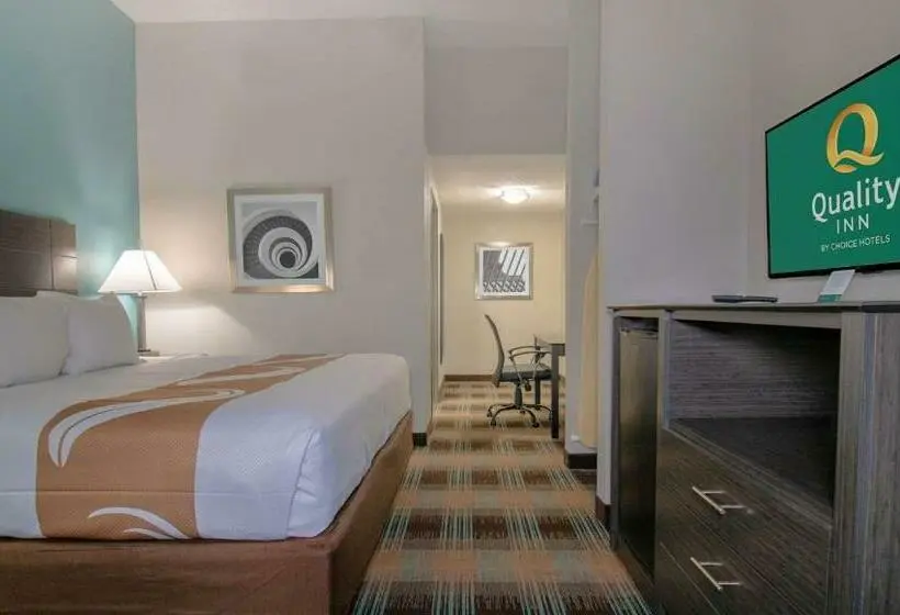 キングサイズベッドのスタンダードルーム, Quality Inn Roseville Detroit North