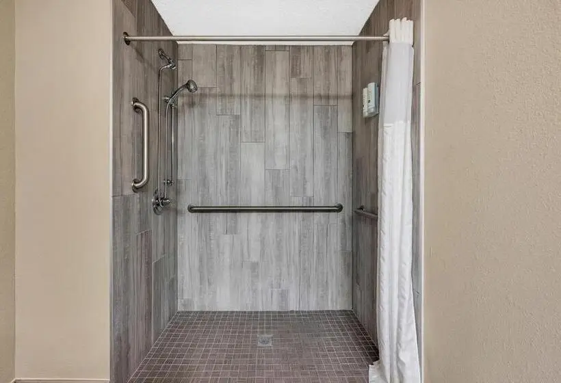 身障者適用スタンダードルーム, Quality Inn Roseville Detroit North