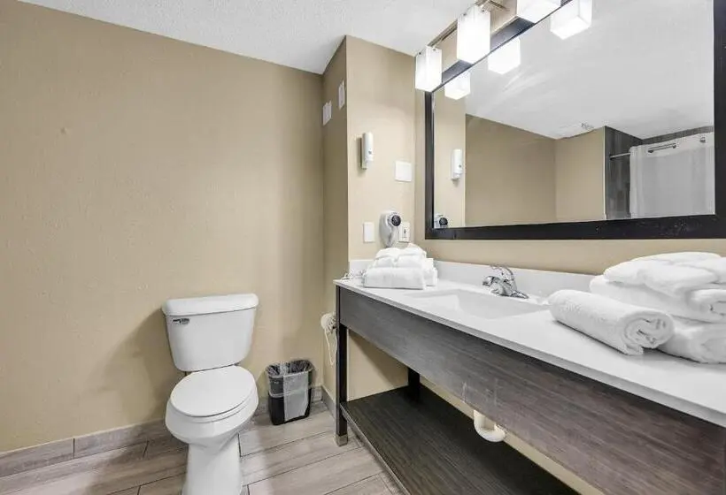 身障者適用スタンダードルーム, Quality Inn Roseville Detroit North