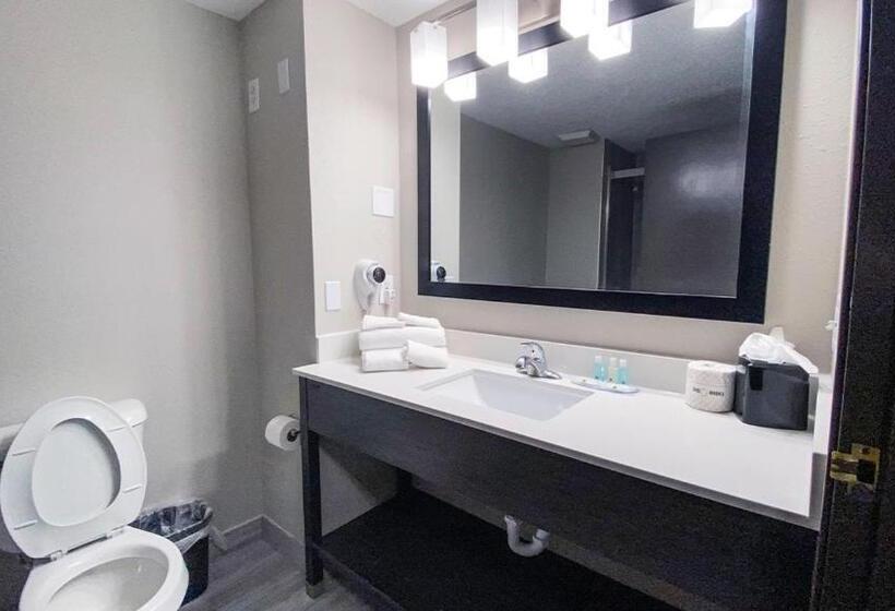 Номер Стандарт Адаптированный для Инвалидов, Quality Inn Roseville Detroit North