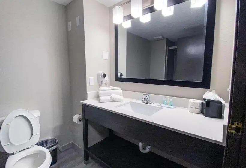 身障者適用スタンダードルーム, Quality Inn Roseville Detroit North