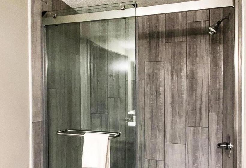 Стандартный Номер Кровать Кинг, Quality Inn Roseville Detroit North