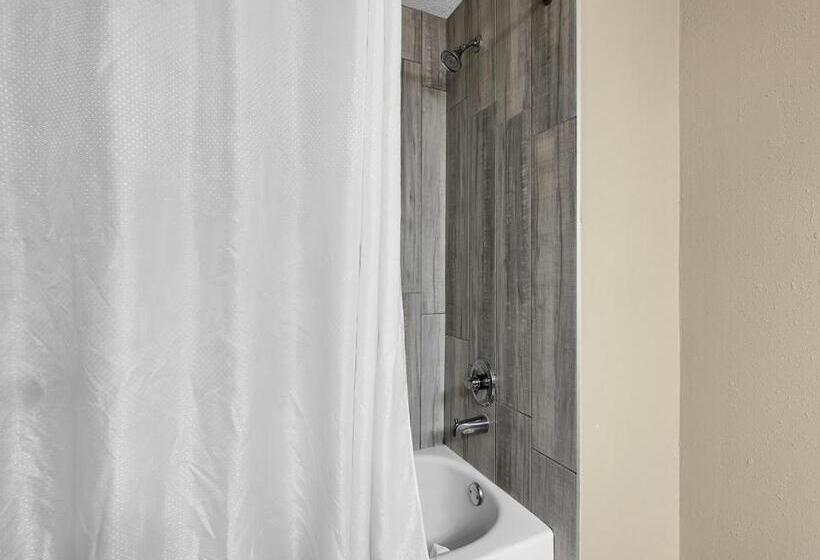 스탠다드 룸 킹사이즈 침대, Quality Inn Roseville Detroit North