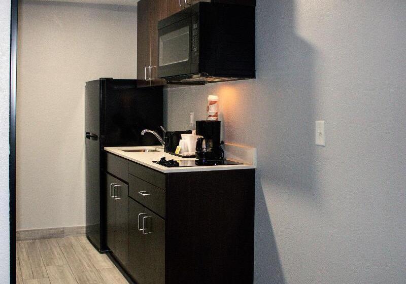 스탠다드 룸 킹사이즈 침대, Quality Inn Roseville Detroit North