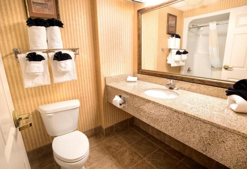 Номер Стандарт, Grand Plaza Hotel Branson