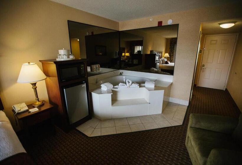 غرفة قياسية سرير كينج, Grand Plaza Hotel Branson