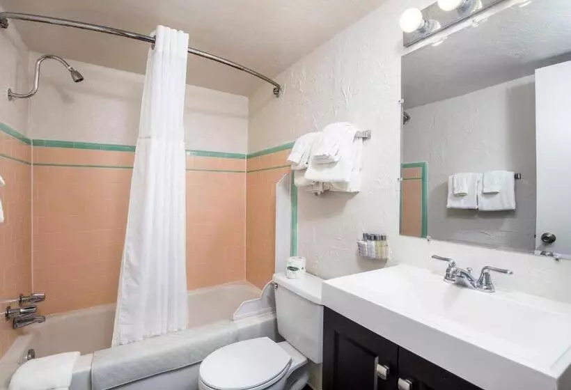 Deluxe-huone, Aiken S Lodge