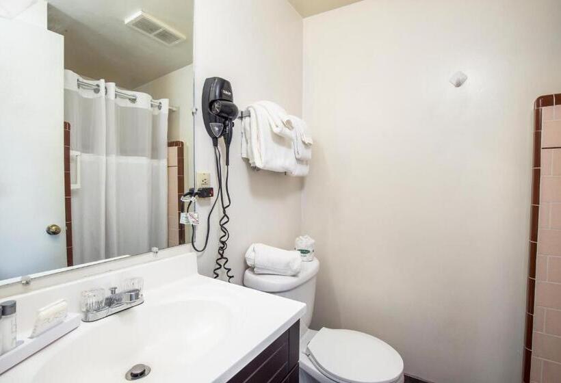 スタンダードトリプルルーム, Aiken S Lodge