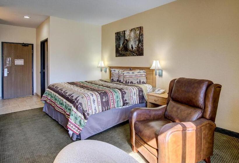 غرفة قياسية سرير كينج, Booneslick Lodge   Neosho