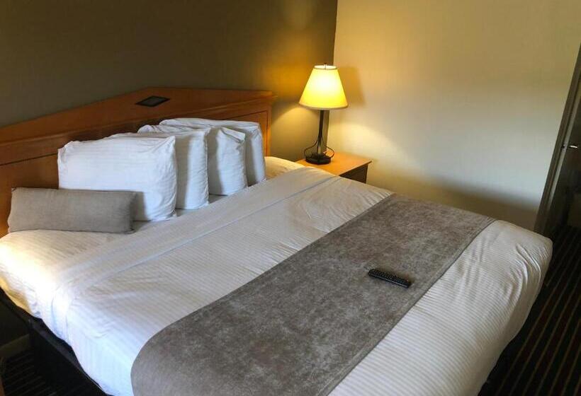 غرفة قياسية سرير كينج, Budget Inn Timmonsville