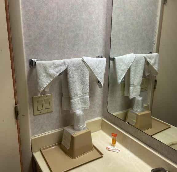 غرفه قياسيه سريرين مزدوجين, Budget Inn Timmonsville