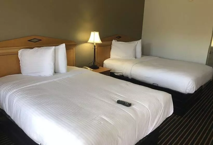 2ダブルベッドのスタンダードルーム, Budget Inn Timmonsville