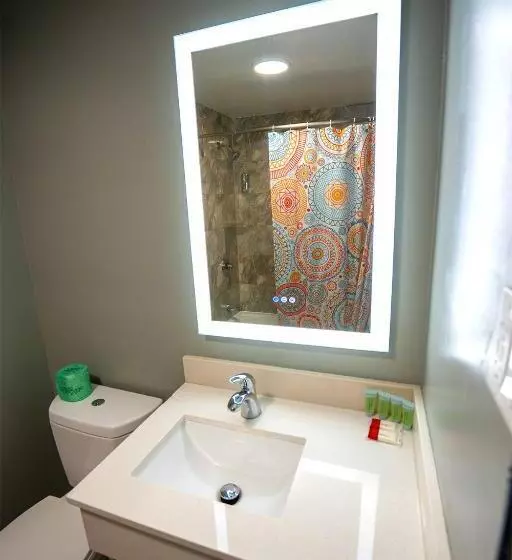 اتاق لوکس با تخت بزرگ, Philly Inn & Suites