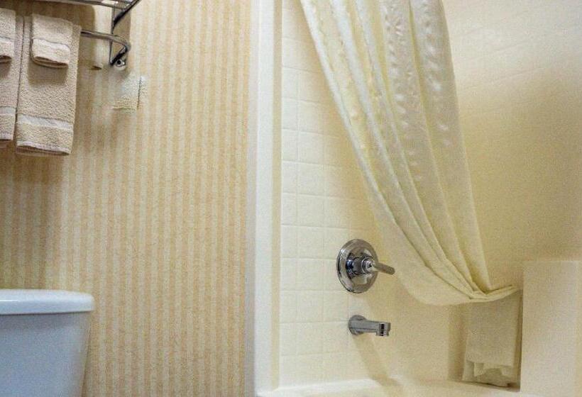 غرفة قياسية سرير كينج, Clatskanie River Inn