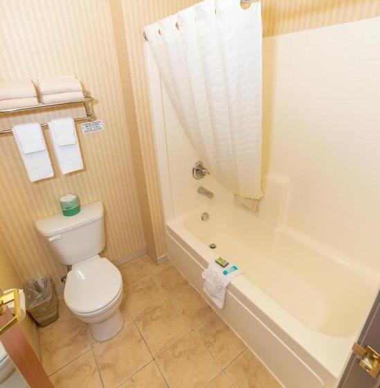 غرفة قياسية سرير كينج, Clatskanie River Inn